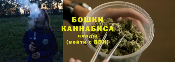мдпв Покровск