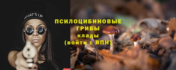 твердый Покачи