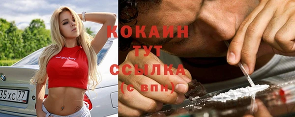 твердый Покачи