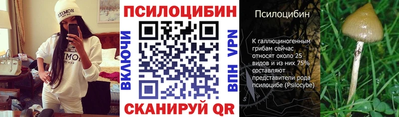 что такое наркотик  Апрелевка  Галлюциногенные грибы GOLDEN TEACHER 