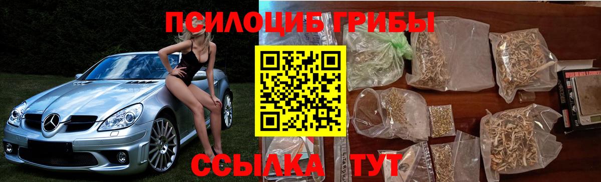 Псилоцибиновые грибы MAGIC MUSHROOMS Апрелевка