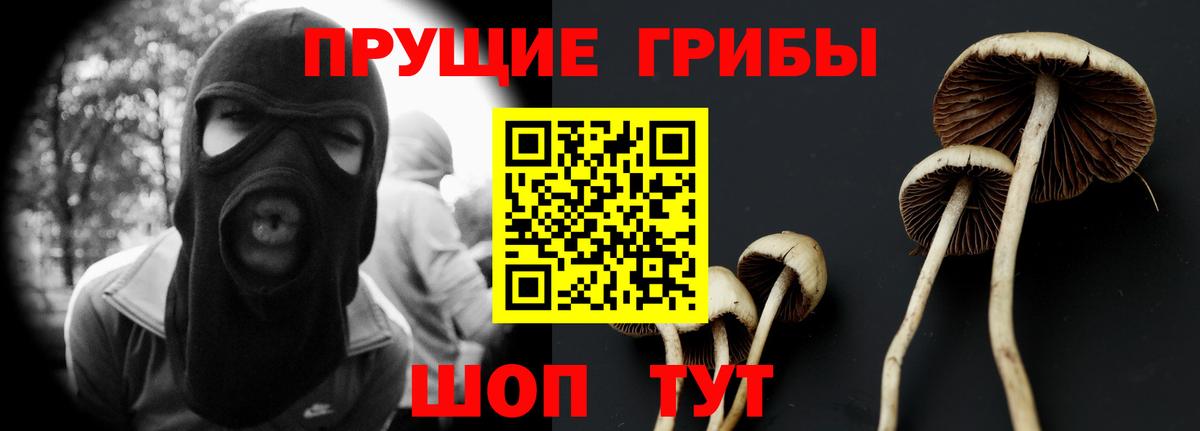 Апрелевка  Псилоцибиновые грибы мицелий  Вход с VPN 