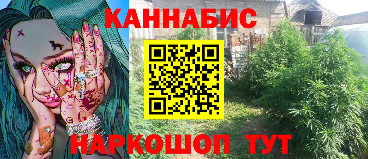 Каннабис OG Kush Апрелевка